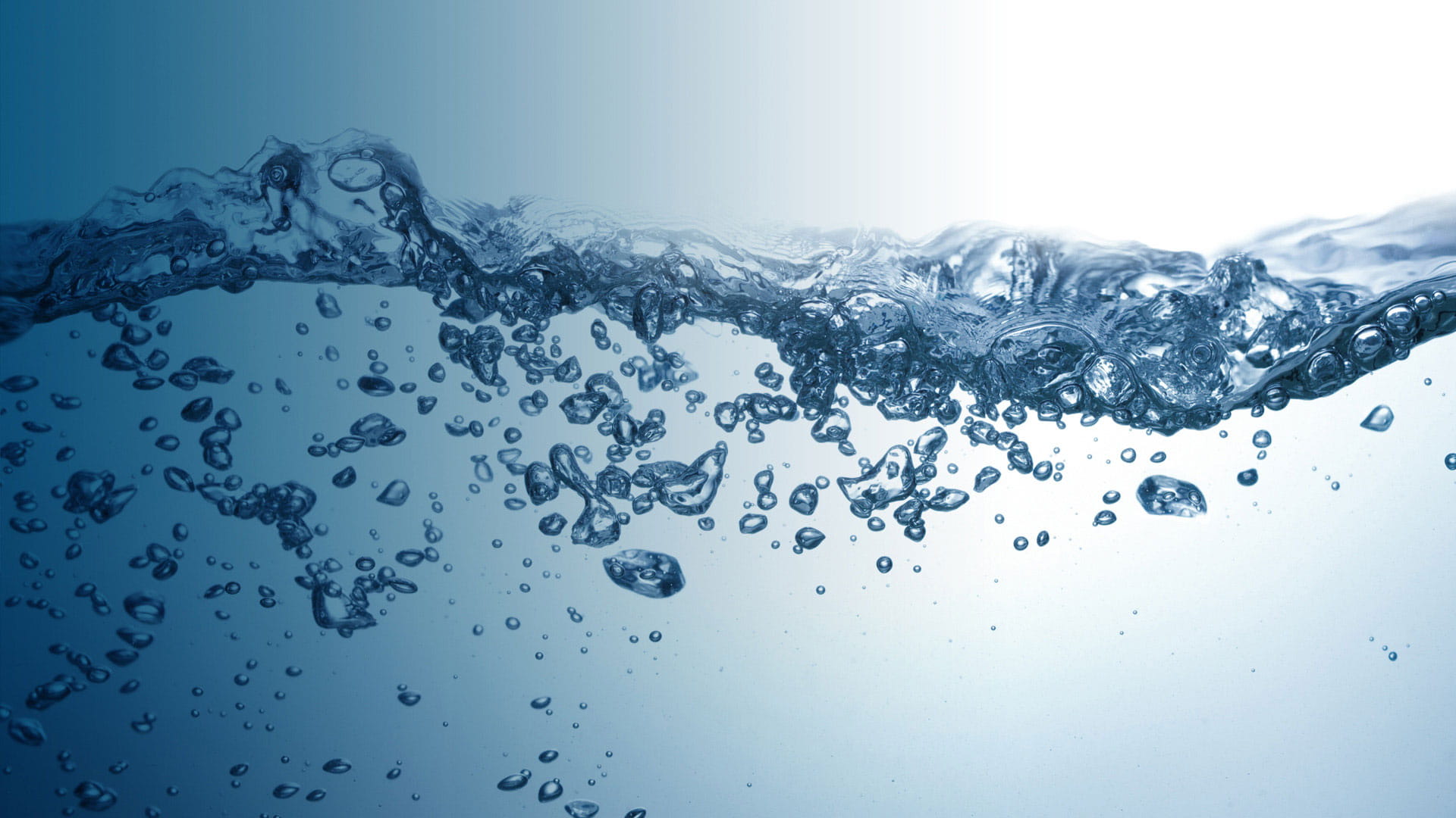 Advantages l Haskoning