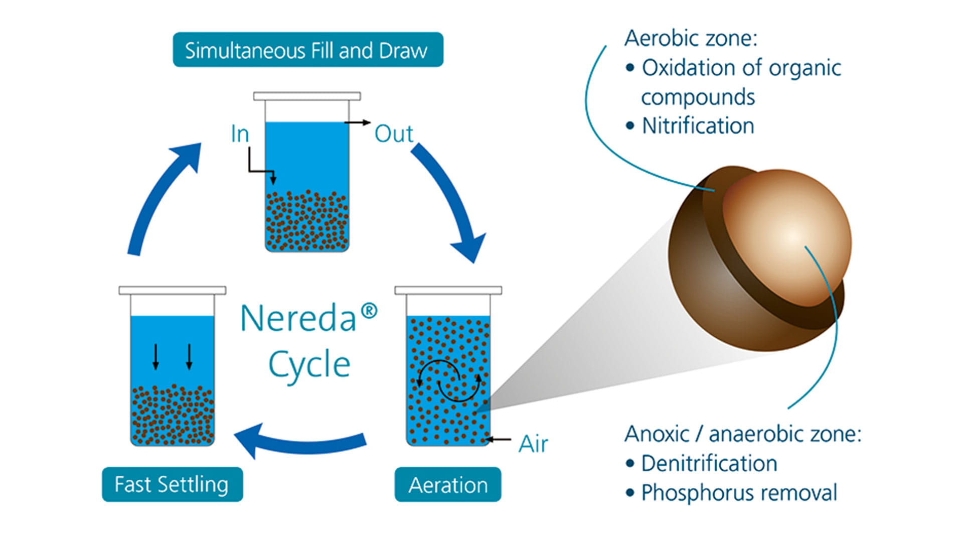 how Nereda technology works